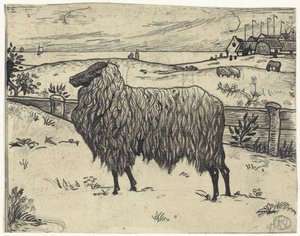 Schaf in einer Küstenlandschaft