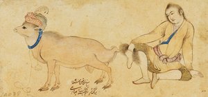 Studie eines jungen Mannes und eines Widders, 1630-31 oder später von Riza i Abbasi
