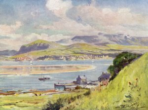 Carnarvon, von Anglesey von Robert (after) Fowler
