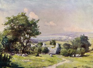 Ferner Blick auf die Carnarvon Bay von Robert (after) Fowler