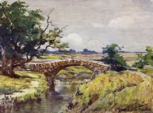 Alte römische Brücke, in der Nähe von Swansea
