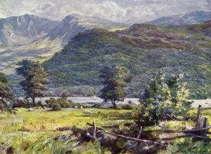 Ansicht von Cader Idris