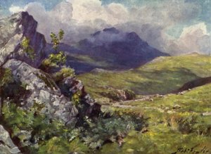 Ansicht von Moelwyn (Farblithografie) von Robert (after) Fowler