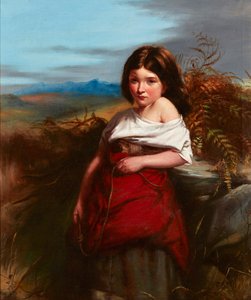 Ein Farnsammler von Robert (follower of) Herdman