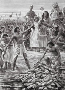 Zählen der von den Toten abgeschnittenen Hände (Lithografie) von Robert Ambrose Dudley