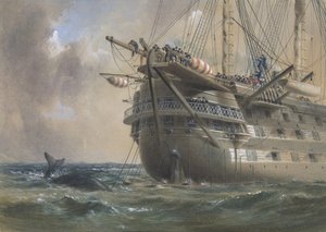 H.M.S. Agamemnon legt das Atlantische Telegraphenkabel 1858: Ein Wal kreuzt die Linie