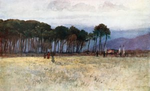 Die Pinienwälder und Carrara-Berge bei Viareggio von Robert Charles Goff