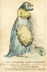 Die Schweinegesichtige Dame, berühmt in London um 1815