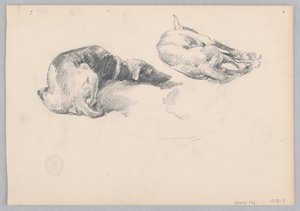 Hunde