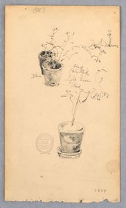 Blumentöpfe, 1877