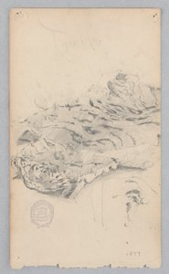 Tigefell-Teppich von Robert Frederick Blum
