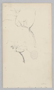 Baum von Robert Frederick Blum