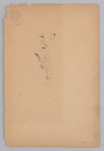 Frau von Robert Frederick Blum
