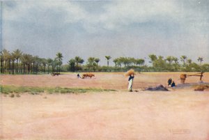 Esbet-El-Ekiad - Land von Goshen, ca. 1880, 1904