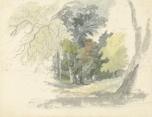 Eine Waldlichtung von Robert Hills