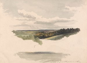 Zwischen Netley Heath und Albury von Robert Hills