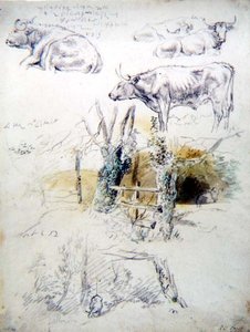 Studien von Rindern von Robert Hills