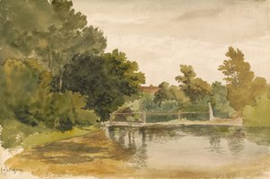 Reflexionen in einem bewaldeten Teich von Robert Hills