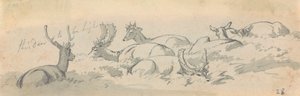 Hirsche und Rehe in Ruhe von Robert Hills