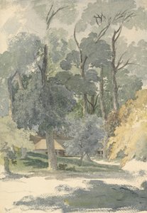 Bäume und Scheunen im Ashstead Park, Surrey