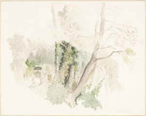  von Robert Hills