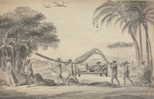 Reisender in einer Sänfte in Indien