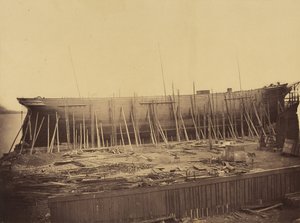 Aphrodita im Bau, ca. 1857