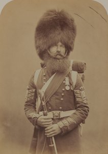 Farbsergeant Macgregor, Scotch Fusiliers Guards von Robert Howlett