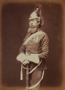 Sergeant-Major Bailey, 1. Royal Dragoon Guards
