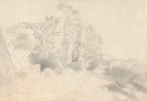 Landschaft mit Felsen