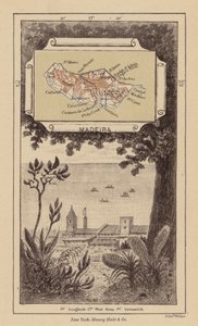 Madeira von Robert Pritchett