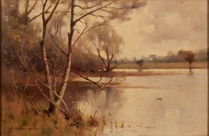 Silberbirke am Seeufer von Robert Russell MacNee