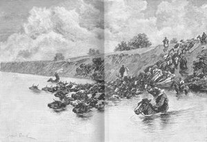 Rinderherde überquert den Uruguay, ca. 1885, 1890