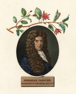 Porträt von Nehemiah Grew, Arzt und Botaniker von Robert White