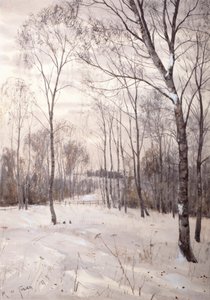 Der Winterwald
