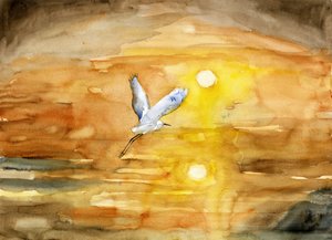 Flug des Silberreihers im goldenen Sonnenuntergang von RodMacIver