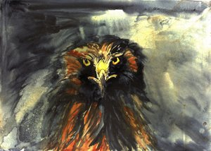 Heftiger Adlerblick