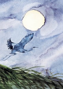 Mondscheinreiher Flug