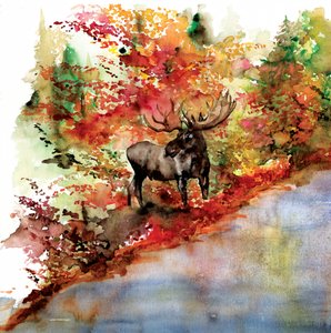 Elch im bunten Herbst von RodMacIver