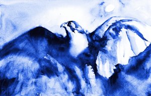 Schwebender blauer Falke von RodMacIver