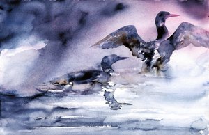 Wasservögel in der Dämmerung