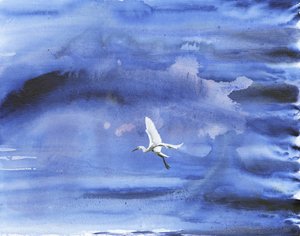 Weißer Reiher blauer Himmel von RodMacIver