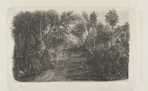 Landschaft mit Bach und Bäumen an den Ufern von Rodolphe Bresdin