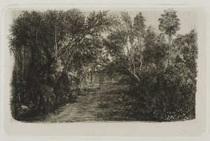 Der Bach von Rodolphe Bresdin