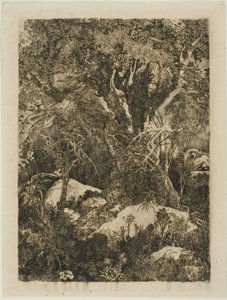 Der Wald von Fontainebleau von Rodolphe Bresdin