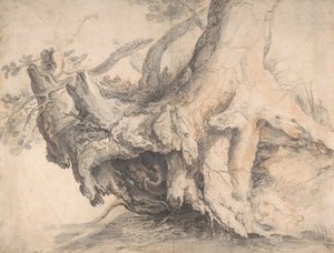 Studie eines Baumes, ca. 1606-1607
