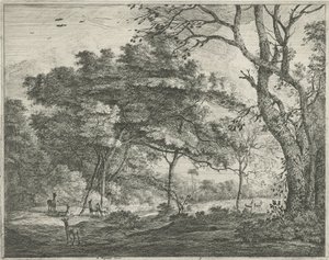 Hirsche im Haagse Bos von Roelant Roghman