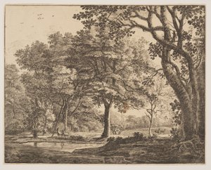 Tafel 6, aus Sechs Ansichten im Wald von Den Haag