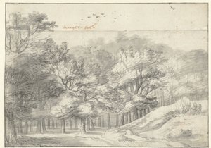 Ansicht im Haagse Bos von Roelant Roghman