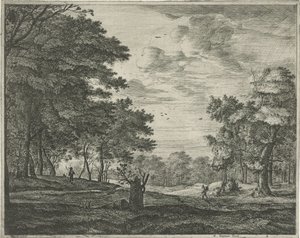 Wanderer im Haagse Bos